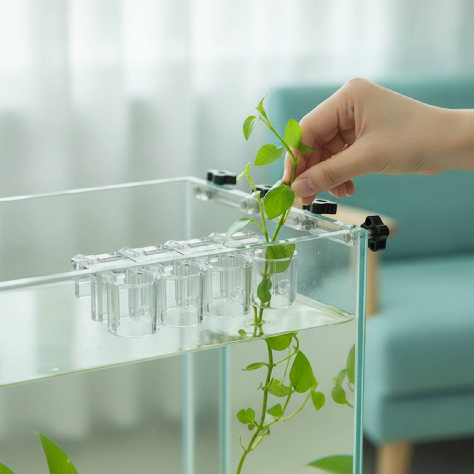 Aquarium Plant - Lot de 6 supports transparents pour