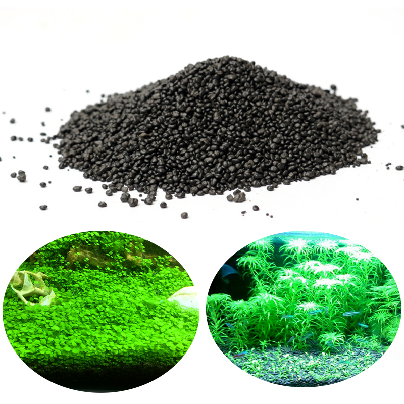 Aquarium Planted Seeds - Eau d'Aquarium pour Plantes de Boue