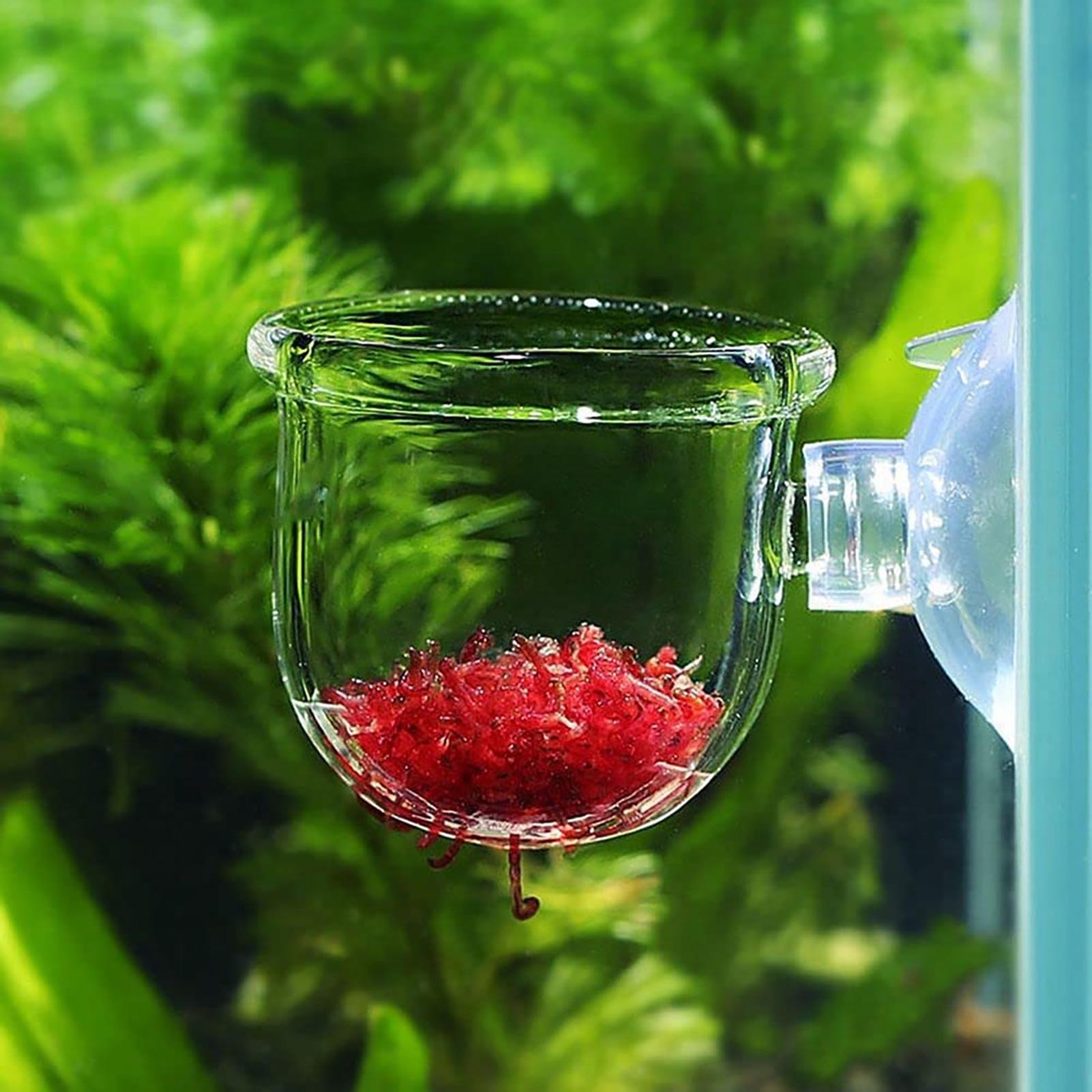 Aquarium Planted Seeds - Pot de plantes d'aquarium, tasse cylindrique