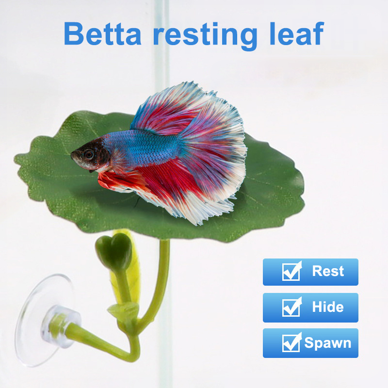 Planted Aquarium Betta - Hamac à feuilles vertes pour poissons