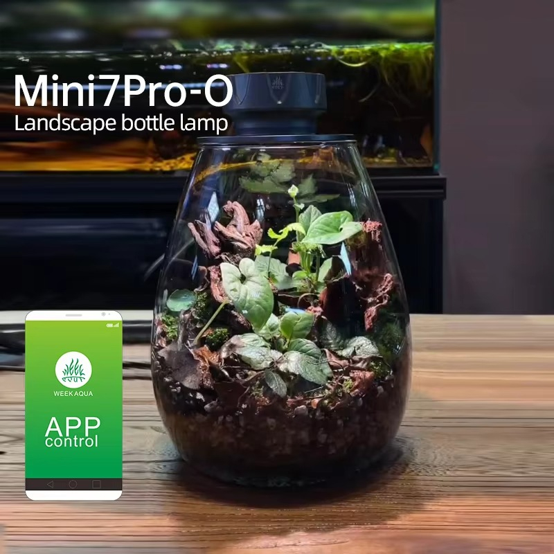 Aquarium Plant - Lumière de remplissage de plantes micropaysage