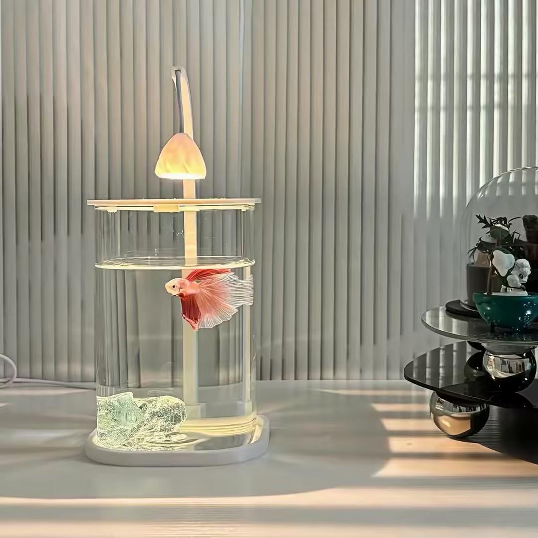 Planted Aquarium Betta - 360 ° Aquarium de bureau panoramique