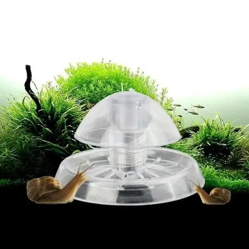 Aquarium Planted Aquarium - Nouvelle boîte piège à escargots en