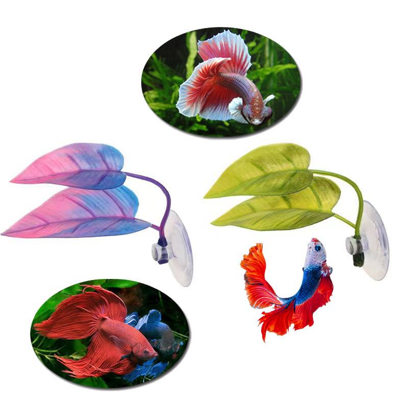 Planted Aquarium Betta - Plante aquatique artificielle pour aquarium, aménagement