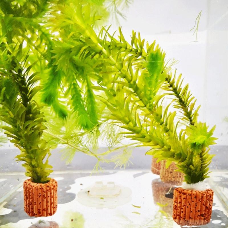 Emersed Plants Aquarium - QX2E – support plantes pour Aquarium,