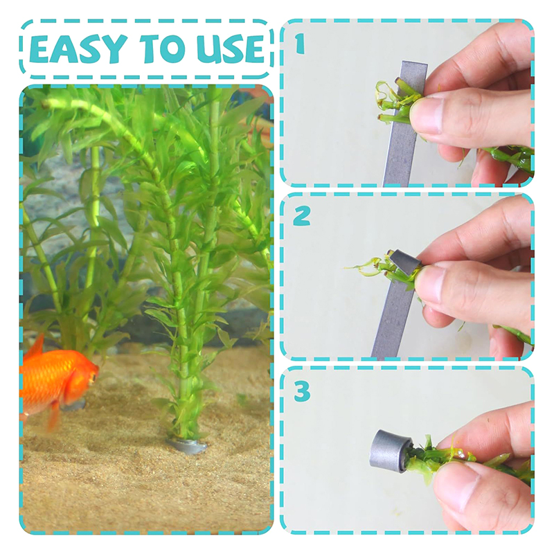 Aquarium Plants For Sale - * Nouvelle vente : 10 poids