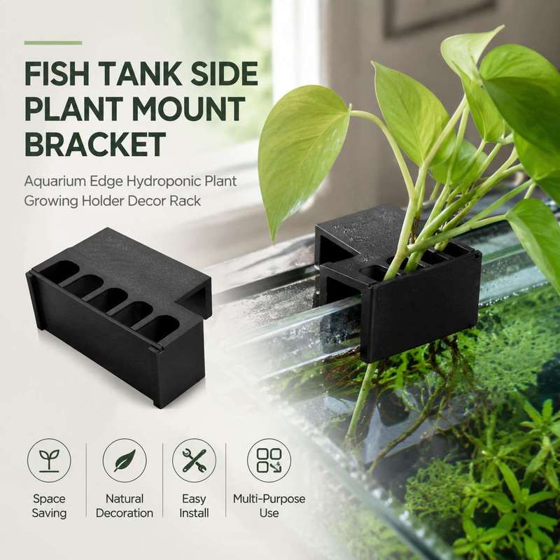 Aquarium Plant Diseases - Support latéral pour plantes d'aquarium, support
