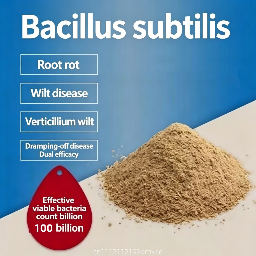 Aquarium Plant Diseases - Poudre de Bacillus Subtilis à haute