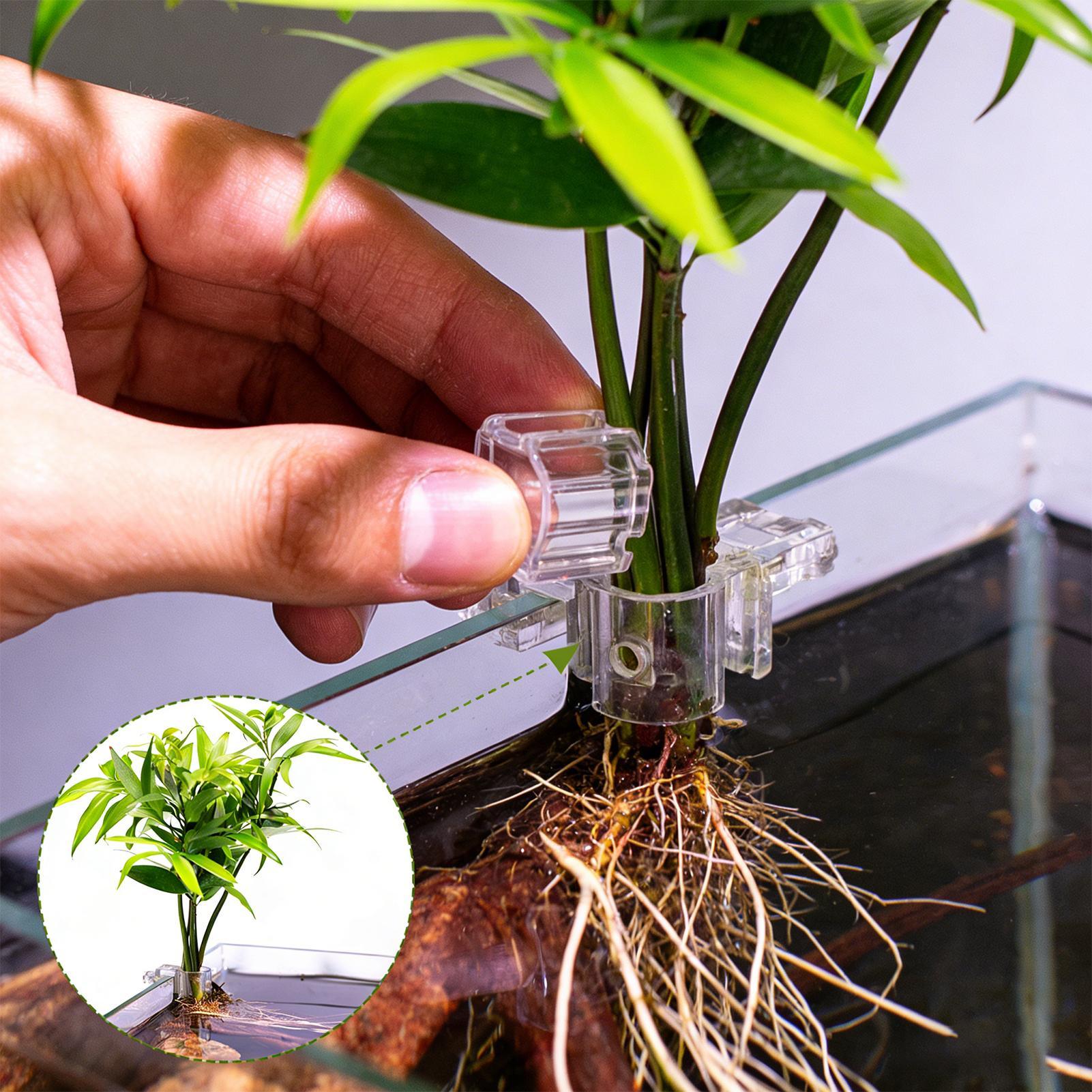 Aquarium Plant Diseases - 6 supports de plantes pour aquarium,