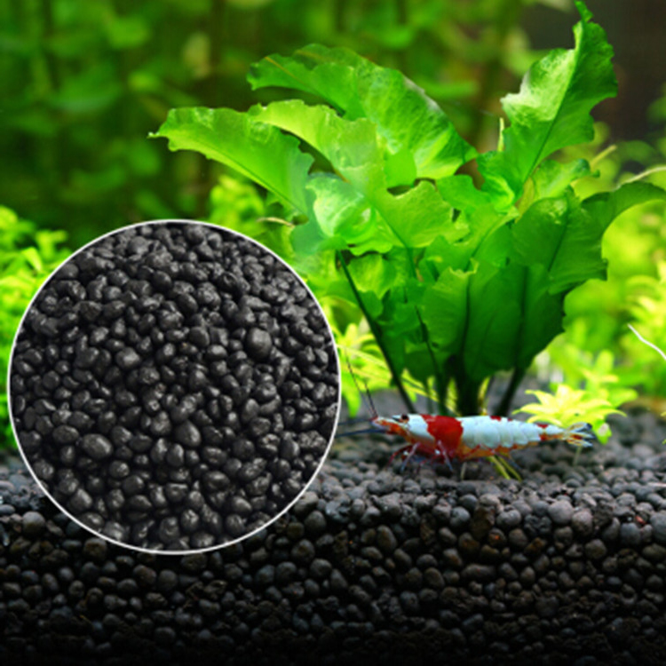 Planted Aquarium Equipment - Sol de graines de plantes d'aquarium,