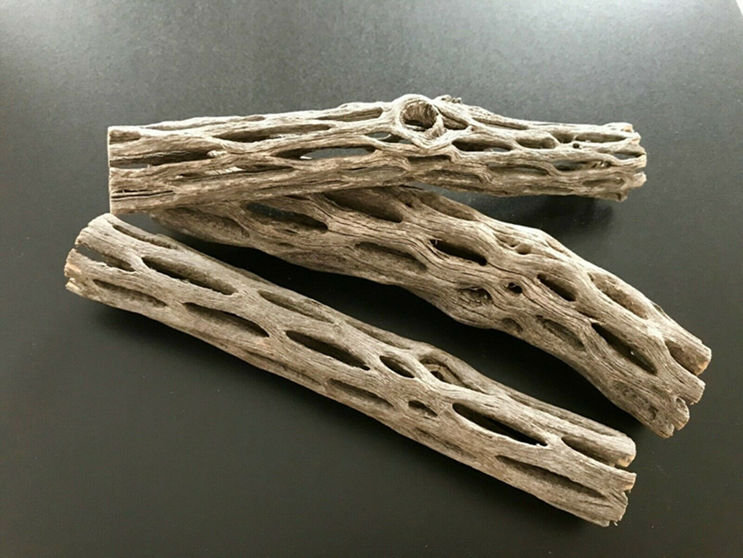 Aquarium Planted Seeds - ChtrustCantum ShriAJNest House en bois biologique