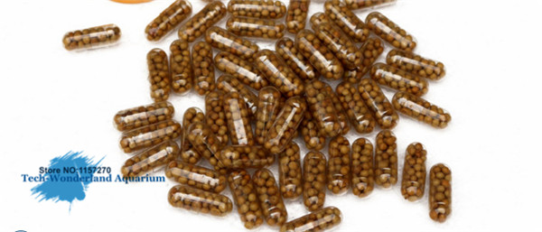 Aquarium Plant Diseases - Engrais de racine 40 onglets pour