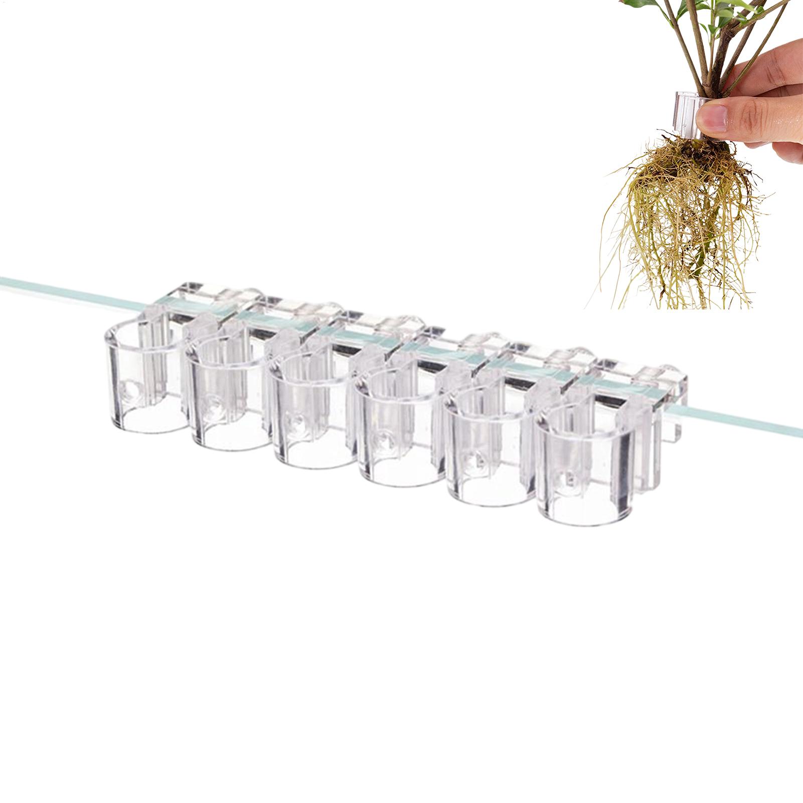 Aquarium Plant Diseases - Support de plantes pour aquarium, 6