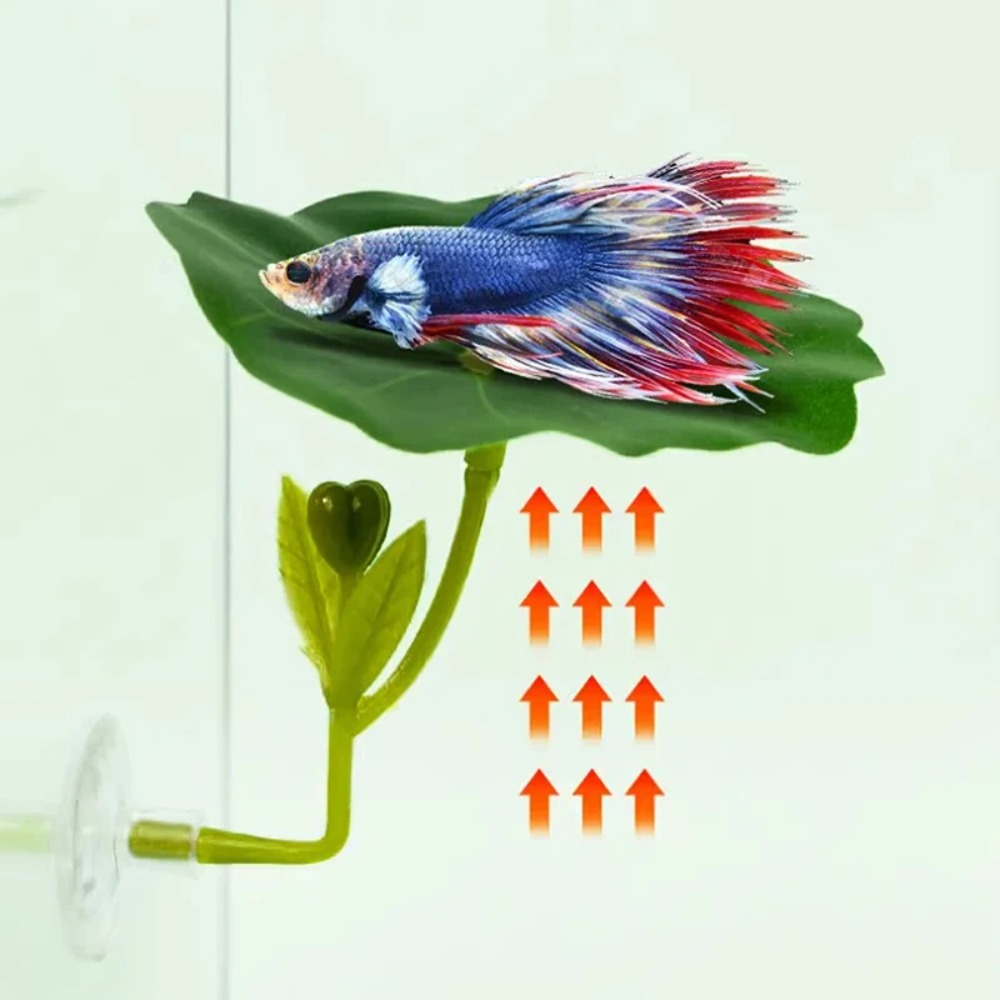 Planted Aquarium Betta - 1 pièce de hamac pour poissons