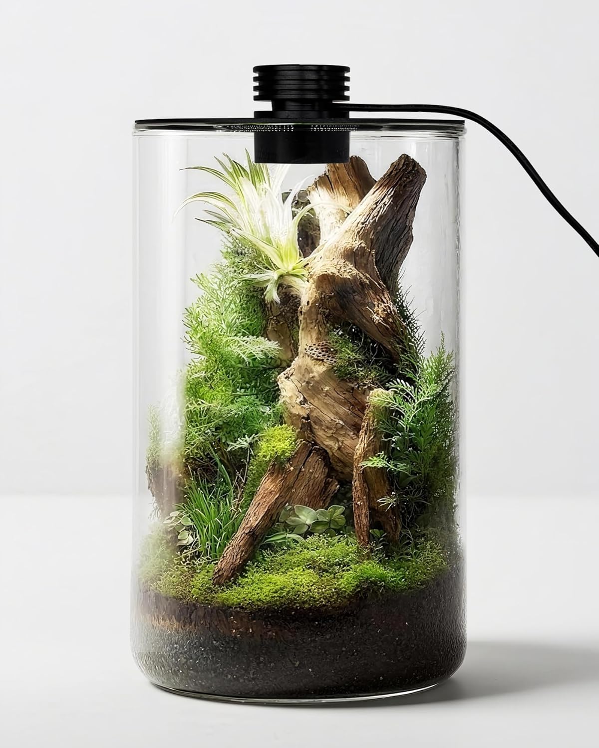 Aquarium Plant - Terrarium en verre d'intérieur avec lampe