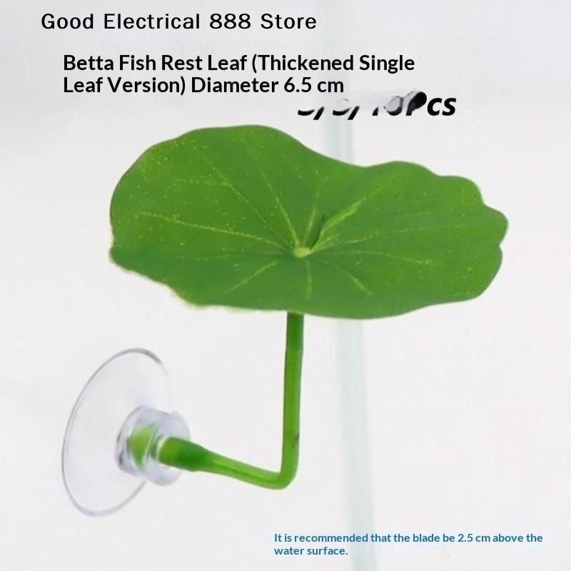 Planted Aquarium Betta - 【G】 3/5/10 PCS Feuilles de repos