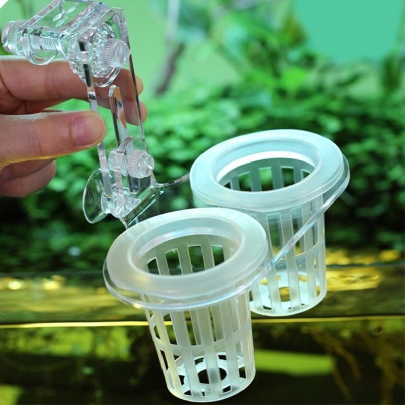 Emersed Plants Aquarium - Support pour plantes d'aquarium, culture de
