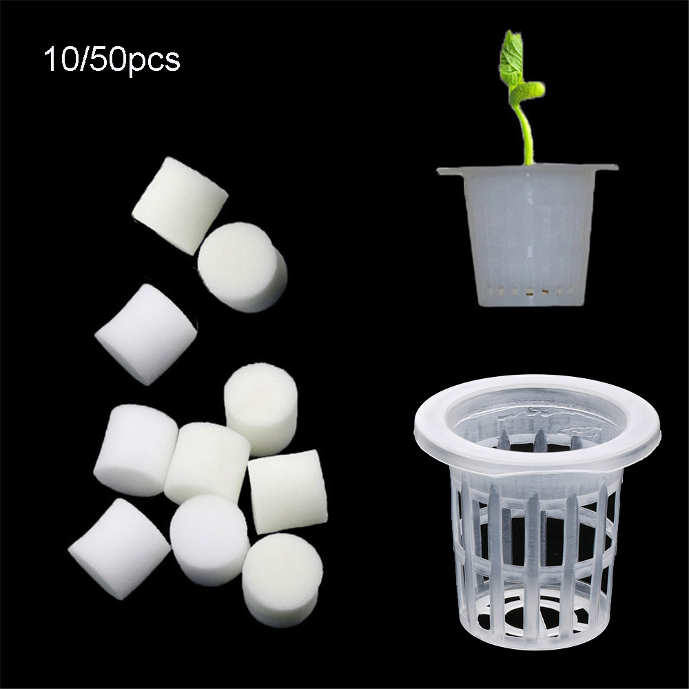 Aquarium Planted Seeds - Plateaux de graines hydroponiques durables pour