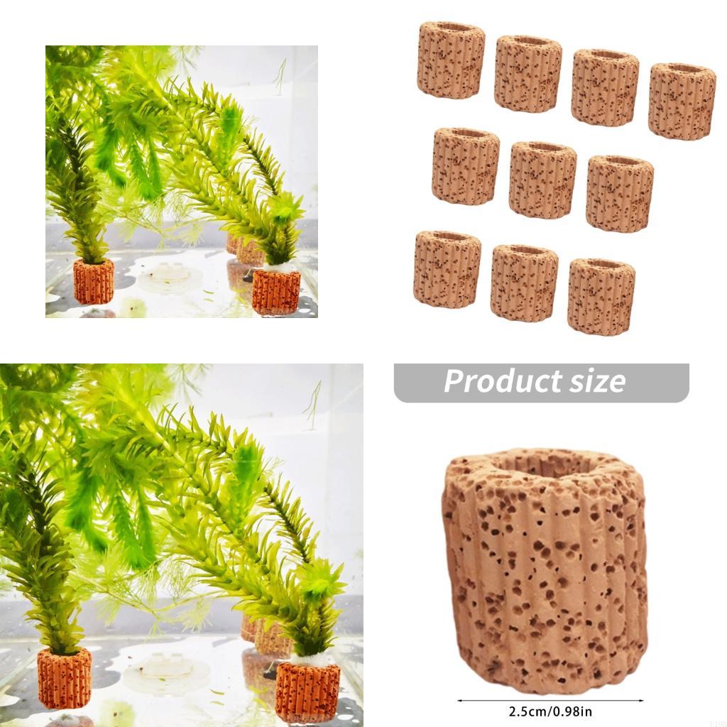 Emersed Plants Aquarium - F19B porte-plantes d'aquarium, tasses plantes d'aquaculture
