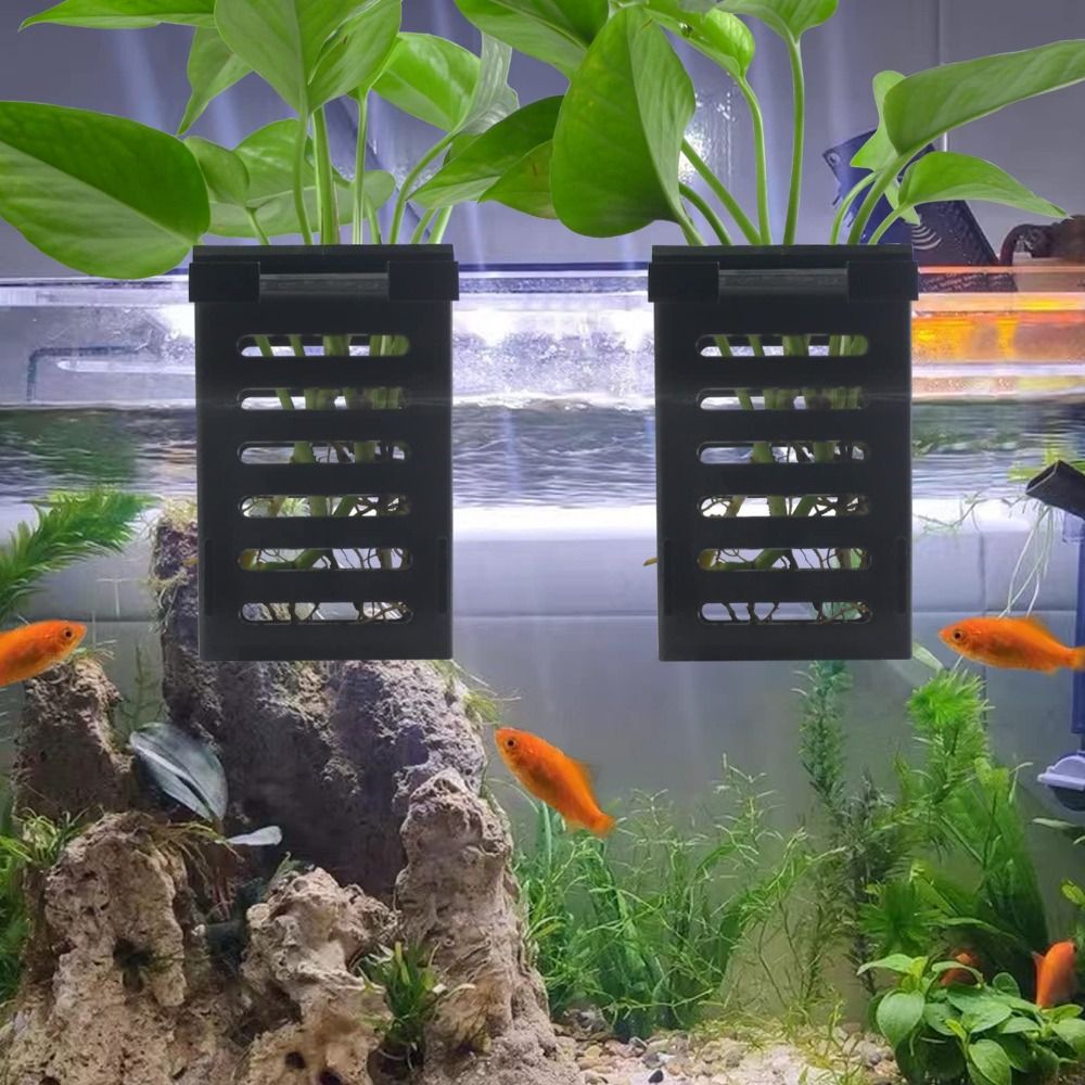 Porte-plante hydroponique en v - Emersed Plants Aquarium avis et prix