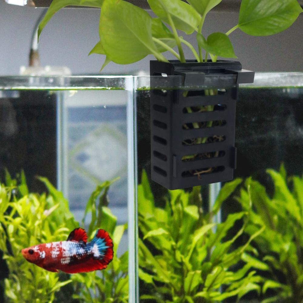 Porte-plante hydroponique en v - Emersed Plants Aquarium avis et prix
