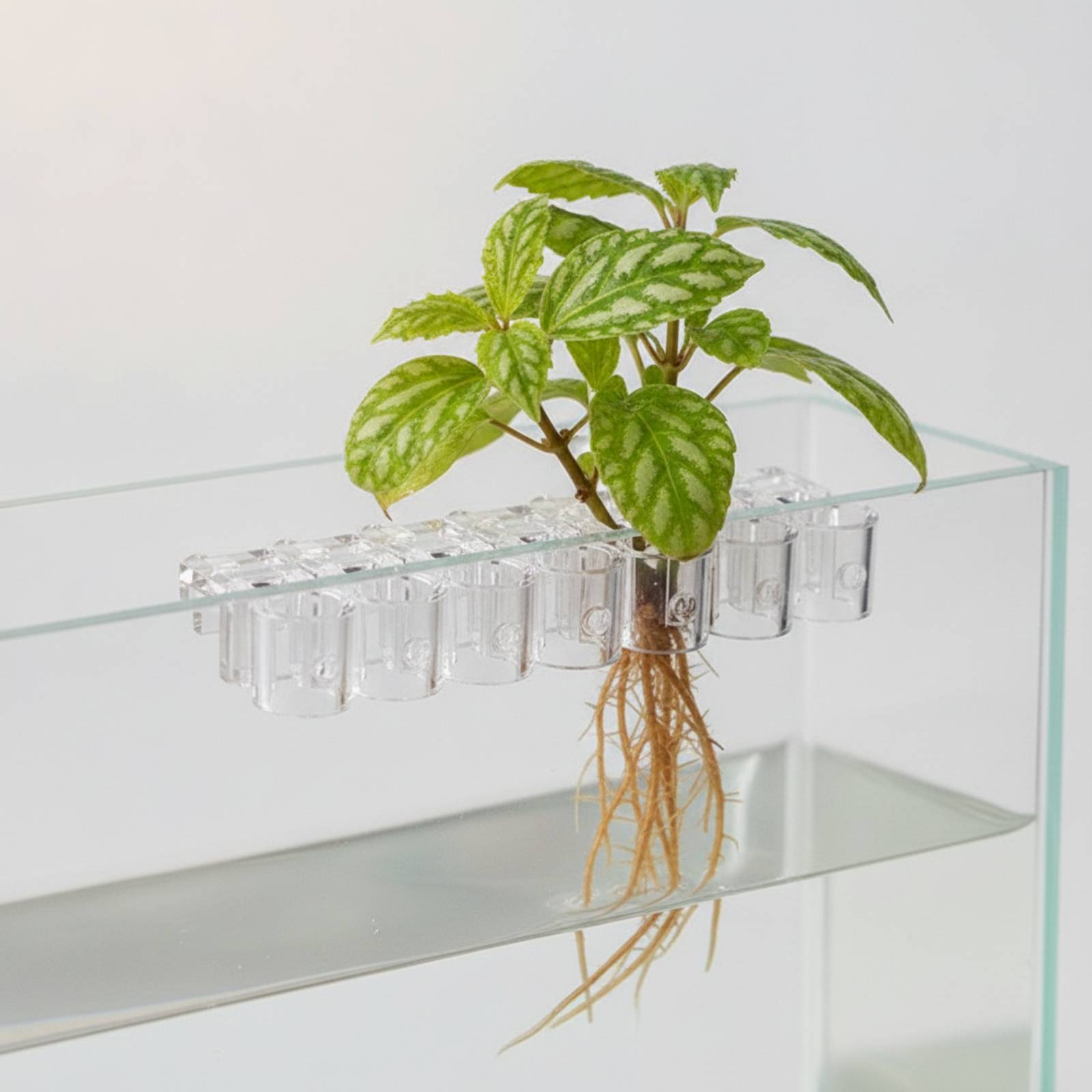 Lot de 6 supports transparents - Aquarium Plant avis et prix