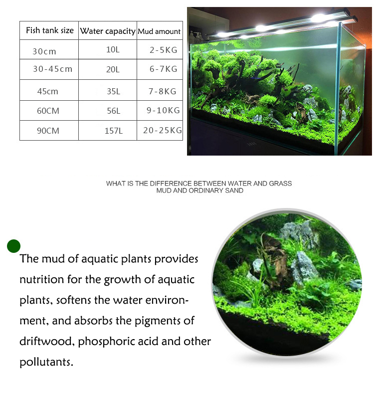 Eau d'Aquarium pour Plantes de - Aquarium Planted Seeds avis et prix