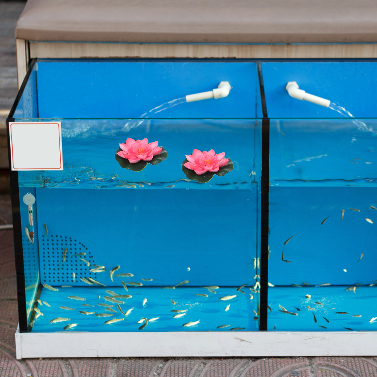 12 pièces de fleurs de lotus a - Aquarium Plant avis et prix