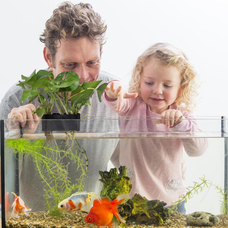 Porte-plantes d'aquarium avec  - Emersed Plants Aquarium avis et prix