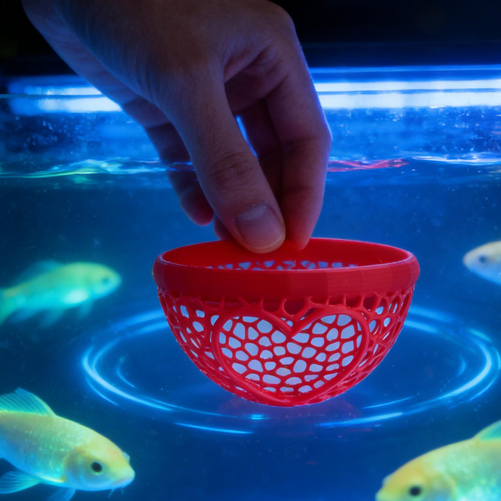 Abri flottant pour betta, hama - Planted Aquarium Betta avis et prix