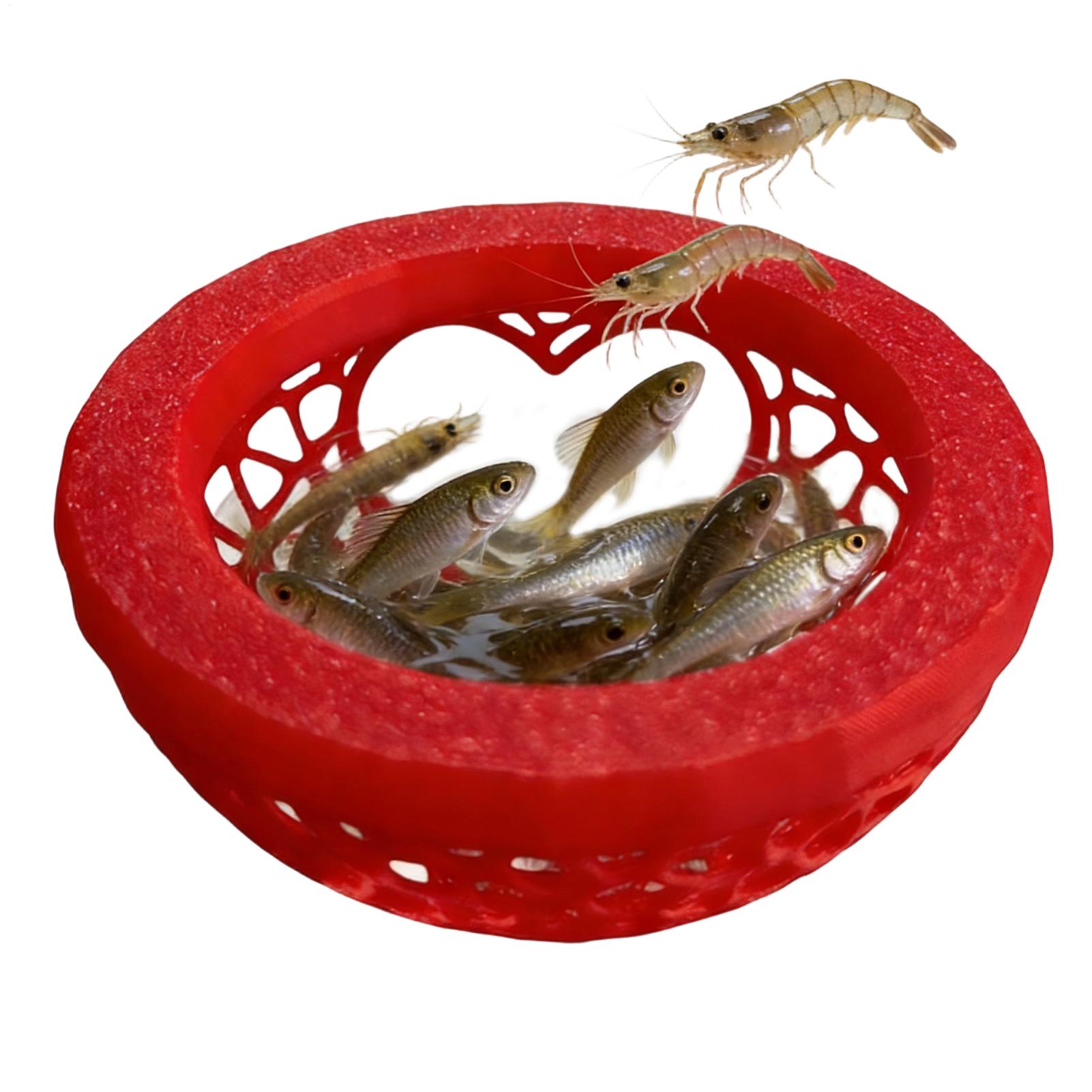 Abri flottant pour betta, hama - Planted Aquarium Betta avis et prix