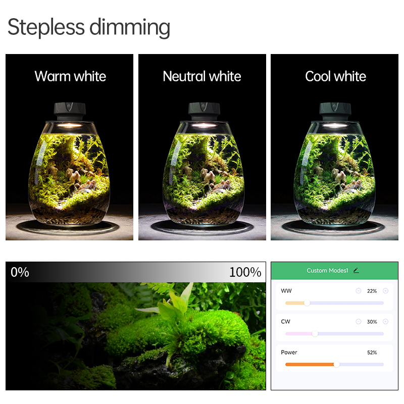 Lumière de remplissage de plan - Aquarium Plant avis et prix