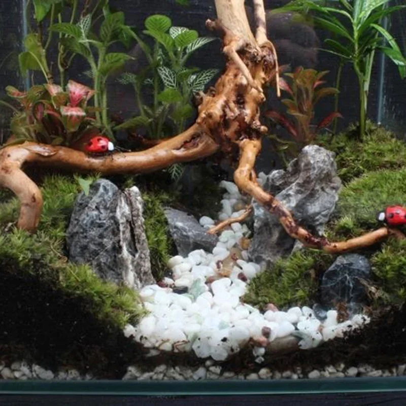 Tronc d'Arbre Naturel en Bois  - Aquarium Planted Tree avis et prix