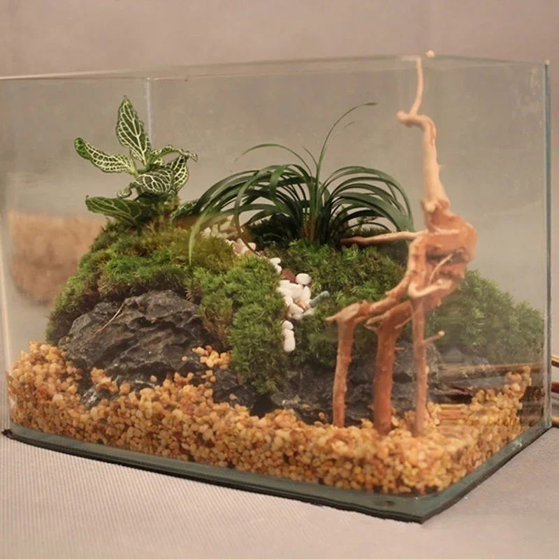 Tronc d'Arbre Naturel en Bois  - Aquarium Planted Tree avis et prix