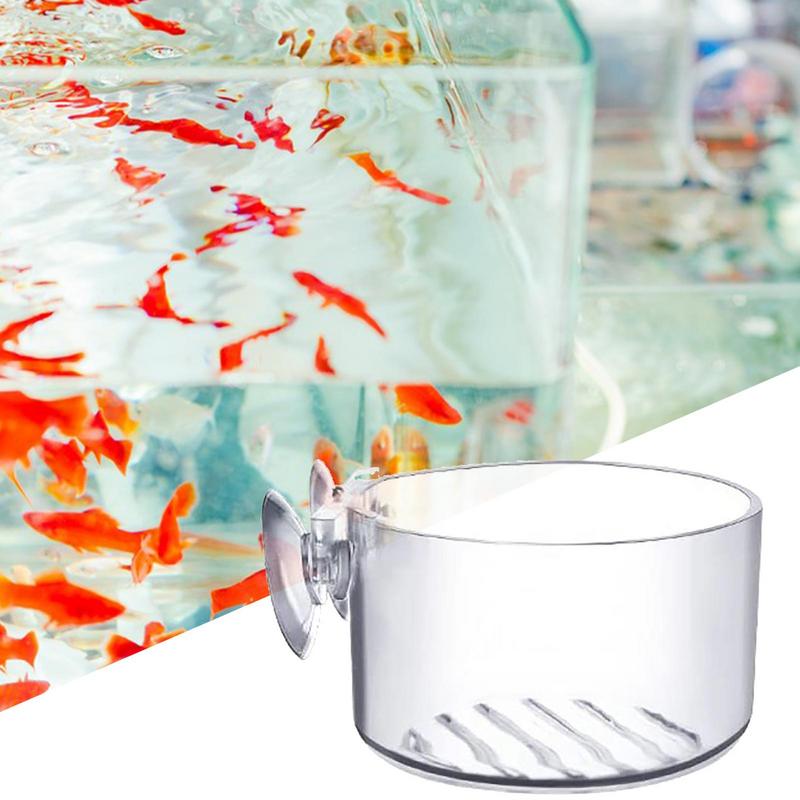 Pot de plantes d'aquarium, tas - Aquarium Planted Seeds avis et prix