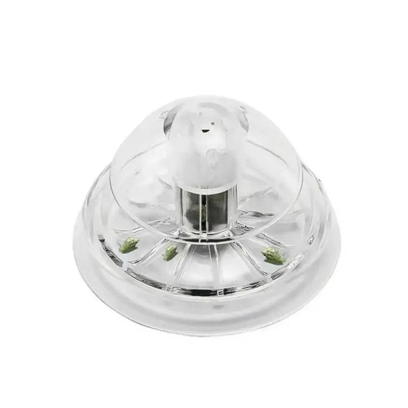 Nouvelle boîte piège à escargo - Aquarium Planted Aquarium avis et prix
