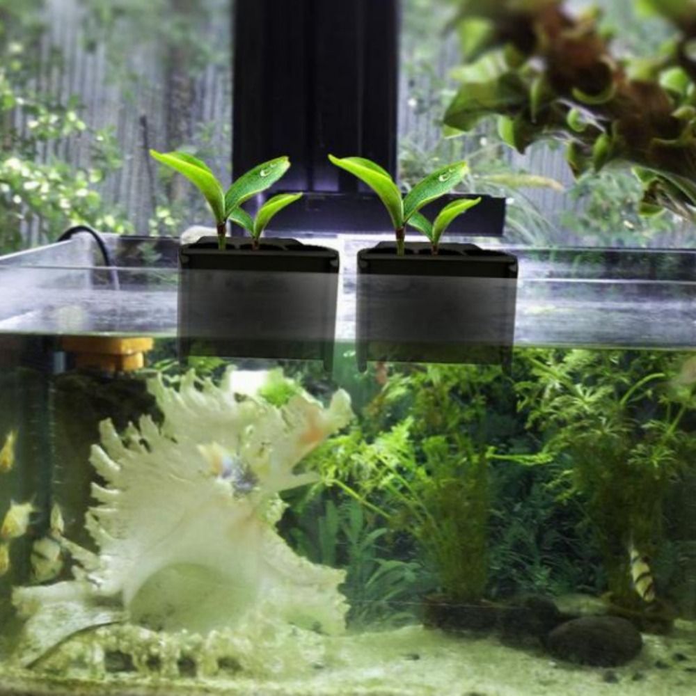 Pot de culture suspendu pour a - Emersed Plants Aquarium avis et prix
