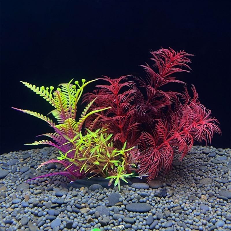 Décoration d'aquarium artifici - Aquarium Plants For Sale avis et prix