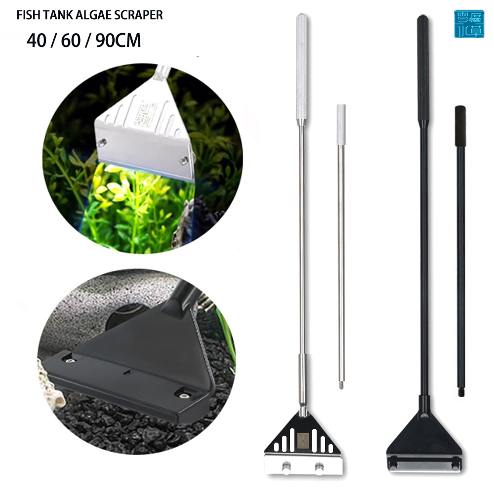 Grattoir à algues en acier ino - Planted Aquarium Algae Remover avis et prix
