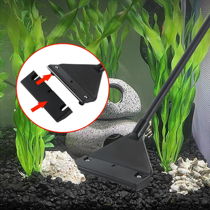 Grattoir à algues en acier ino - Planted Aquarium Algae Remover avis et prix