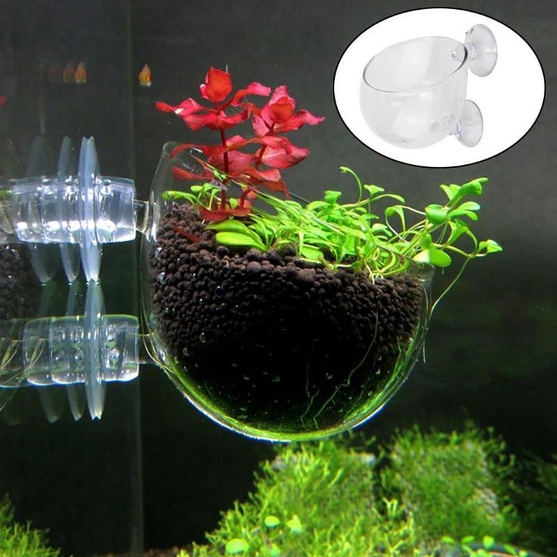 Pot d'Aquarium en Acrylique av - Aquarium Planted Seeds avis et prix