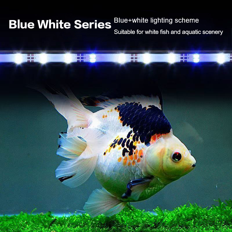 17-47CM prise USB lumière d'aq - Aquarium Plant Diseases avis et prix