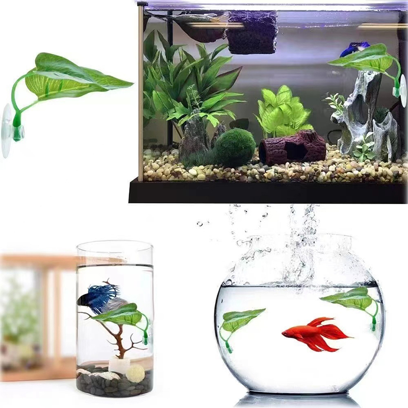 Plante aquatique artificielle  - Planted Aquarium Betta avis et prix