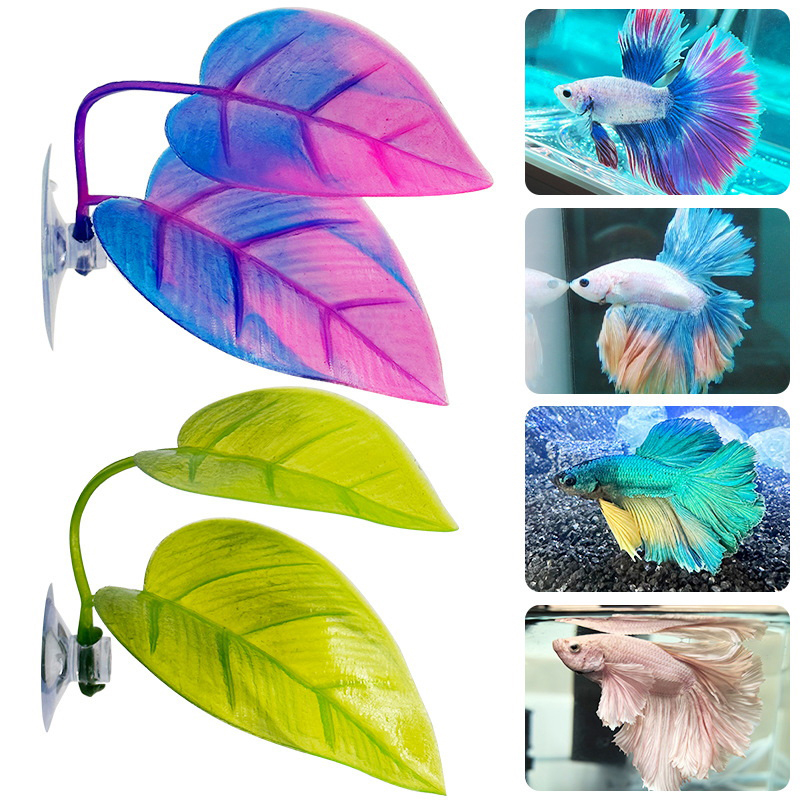 Plante aquatique artificielle  - Planted Aquarium Betta avis et prix