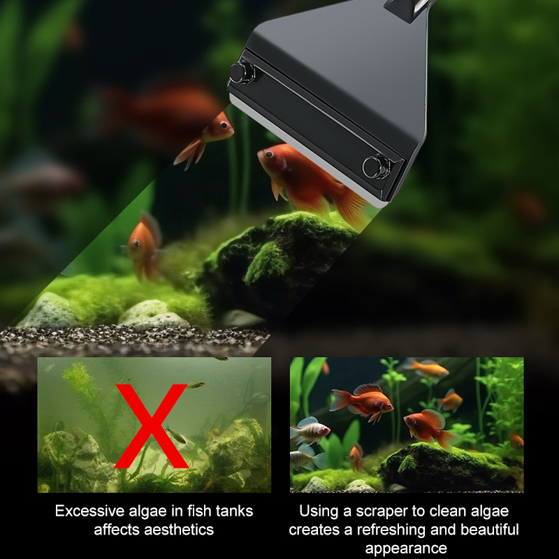 Dissolvant d'algues d'aquarium - Planted Aquarium Algae Remover avis et prix