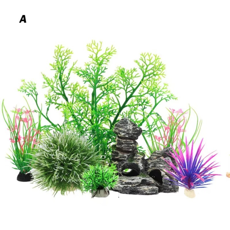 10 pièces - Nouveauté très dem - Aquarium Plants For Sale avis et prix
