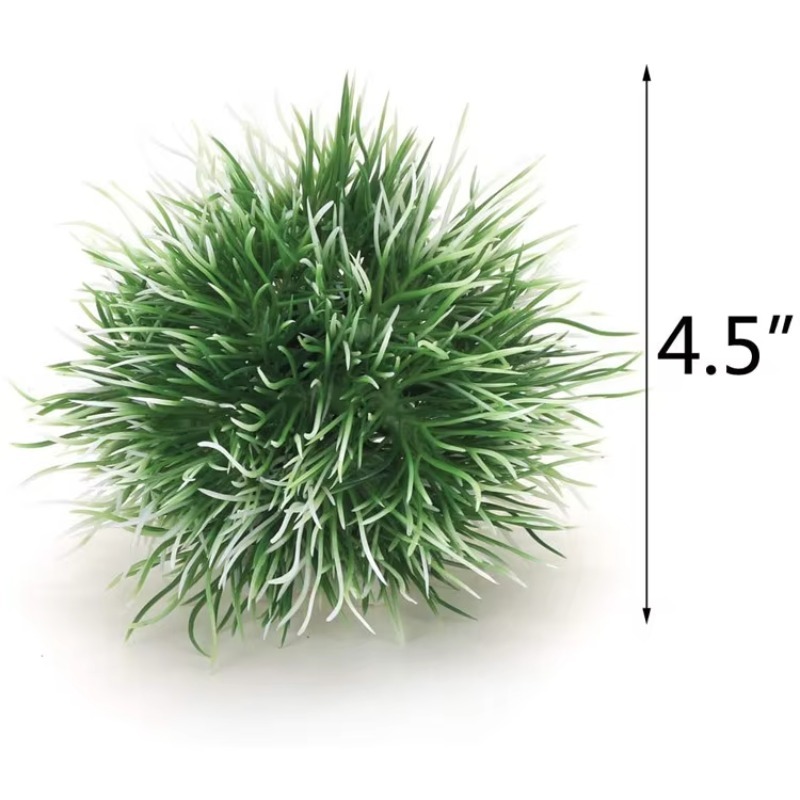 10 pièces - Nouveauté très dem - Aquarium Plants For Sale avis et prix