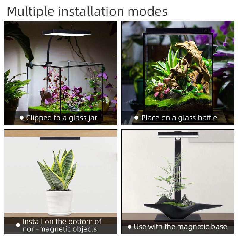 Vente flash Mini9pro Nano Terr - Aquarium Plants For Sale avis et prix