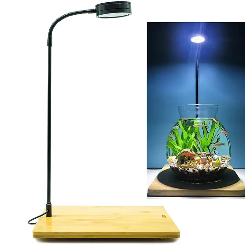 Lumière LED à spectre complet  - Planted Aquarium Betta avis et prix