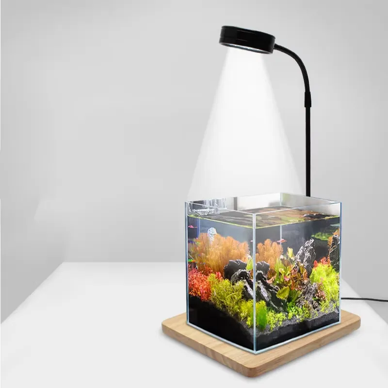 Lumière LED à spectre complet  - Planted Aquarium Betta avis et prix